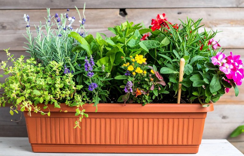 Cvetlična korita niso zgolj za okras