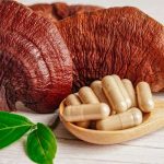 Pri čem vse vam lahko koristijo kapsule Reishi?