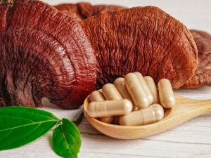 kapsule Reishi